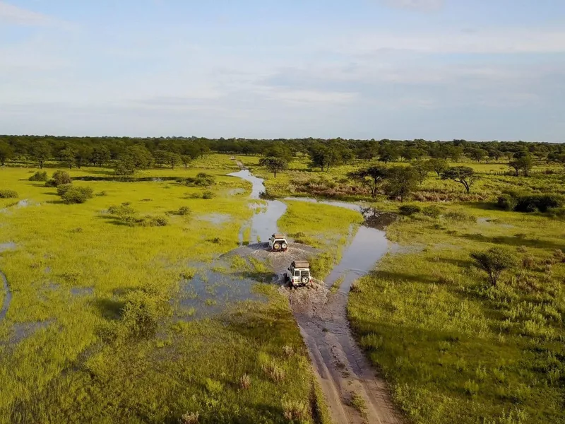 Safari in Botswana