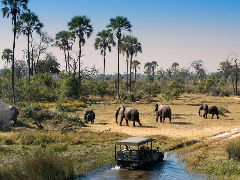 Safari in Botswana
