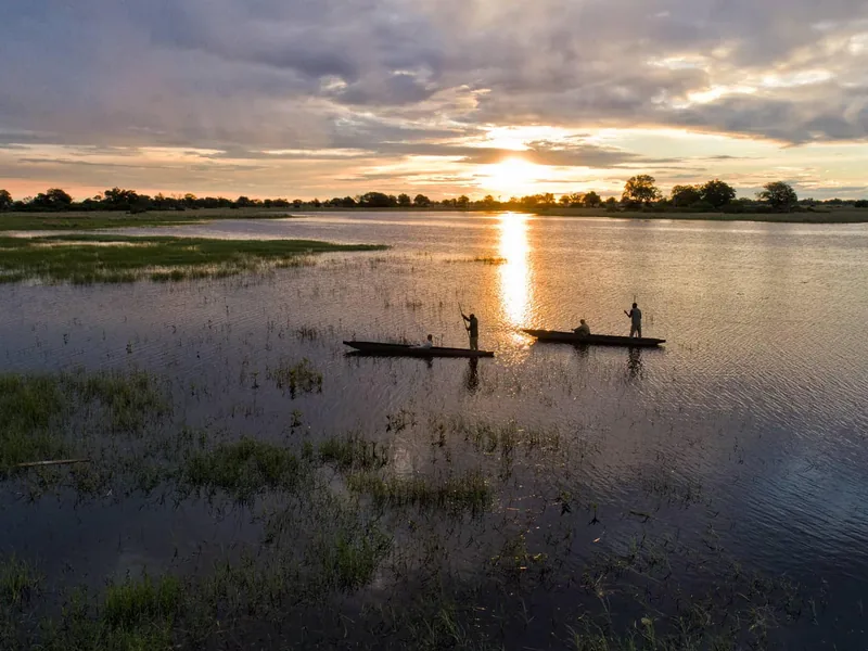 Safari in Botswana
