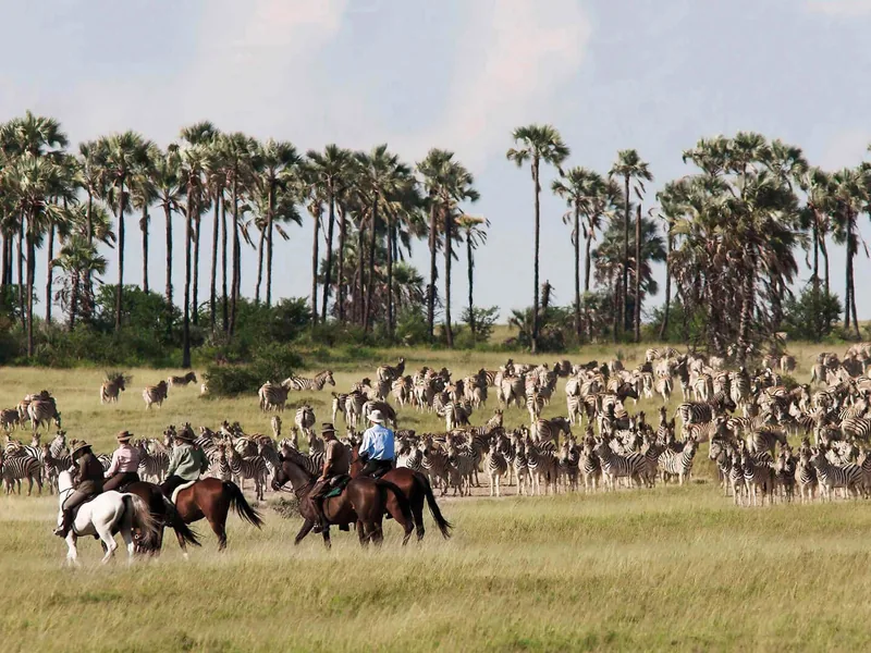 Safari in Botswana