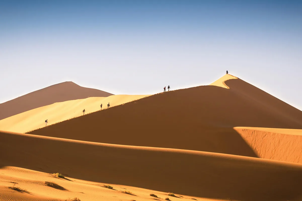 Safari in Namibia