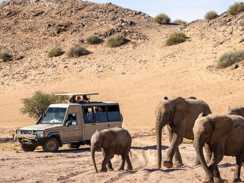 Safari in Namibia