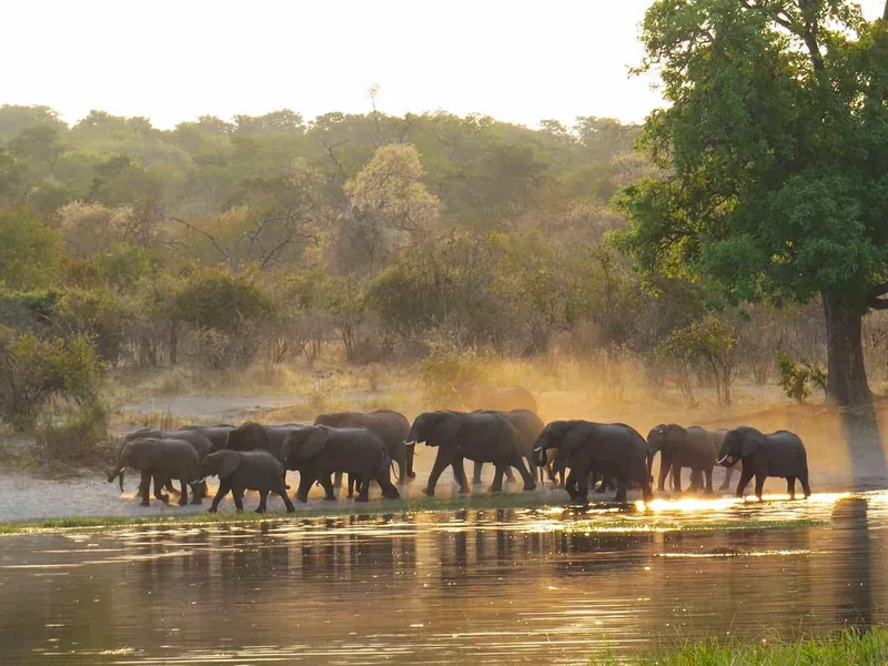 Safari in Namibia