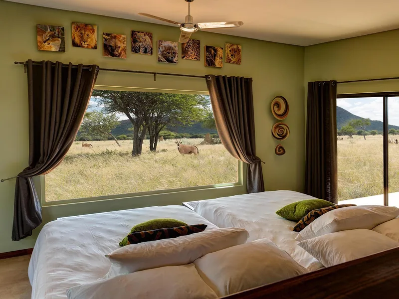 Safari in Namibia