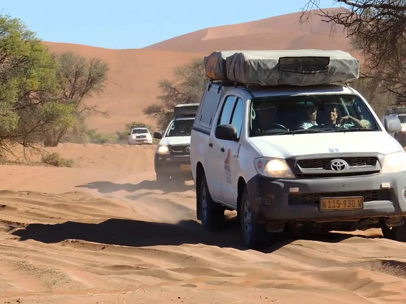 Safari in Namibia