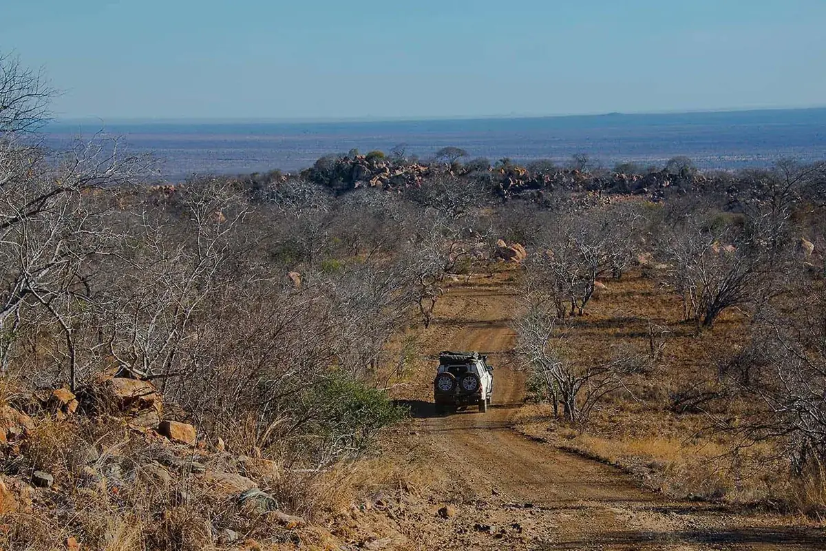 Safari in Sud Africa