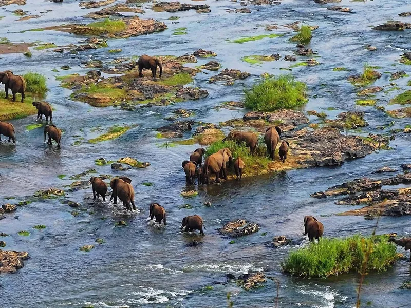 Safari in Sud Africa