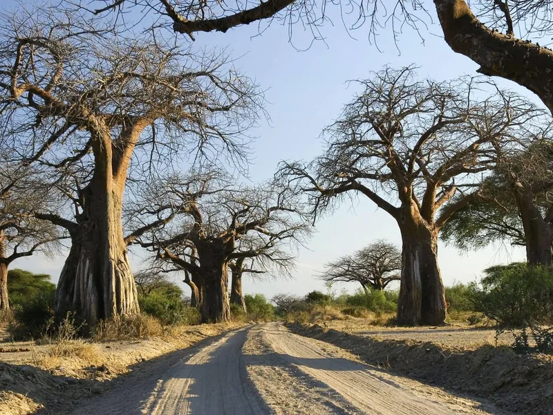 Safari in Tanzania