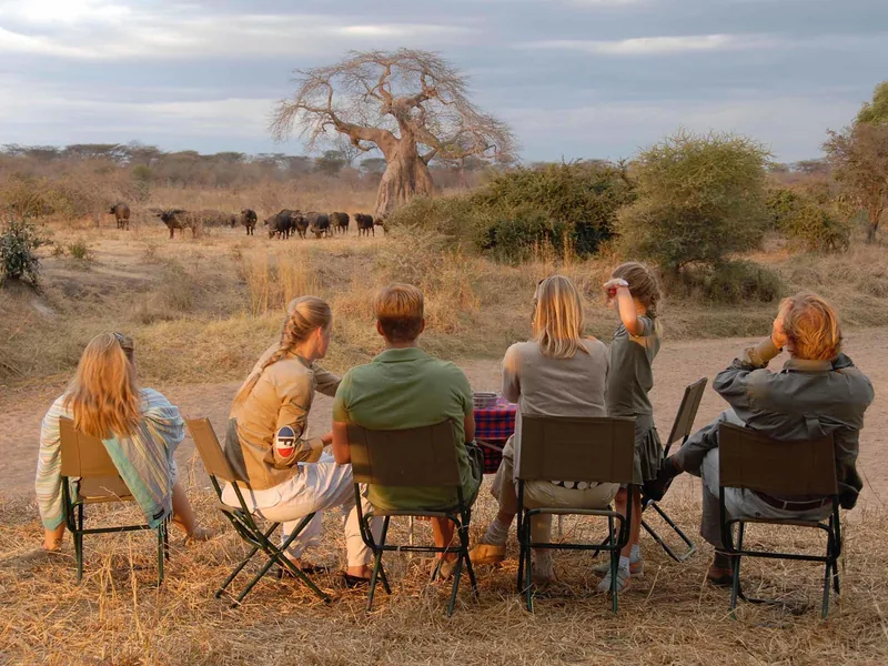 Safari in Tanzania