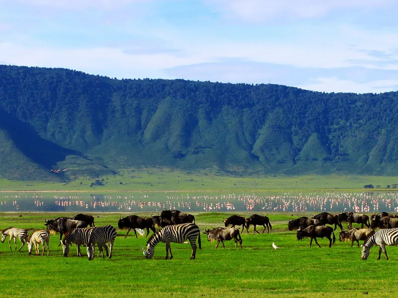 Safari in Tanzania